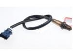 Sensor de oxígeno
