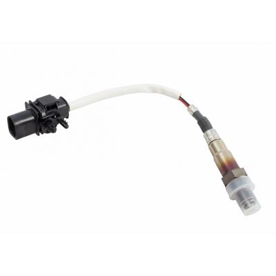 Sensor de oxígeno
