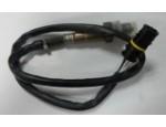 Sensor de oxígeno
