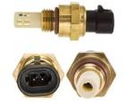 Sensor IAT / Sensor de temperatura de aire de admisión