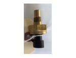 Sensor ECT / Sensor de temperatura del refrigerante