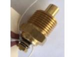 Sensor ECT / Sensor de temperatura del refrigerante